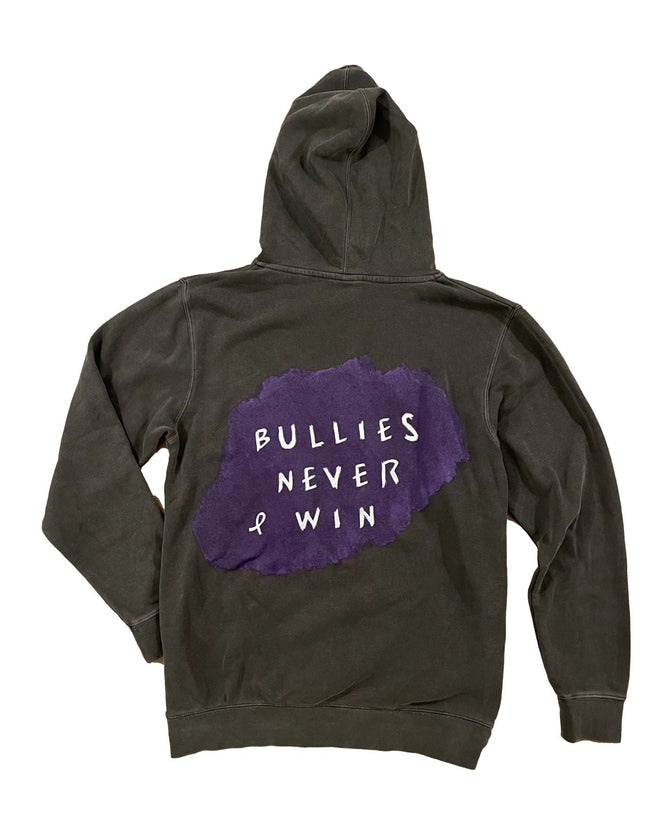 Domestic Violence Awareness Bullies Never Win Hoodie - altruesm