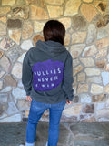 Domestic Violence Awareness Bullies Never Win Hoodie - altruesm