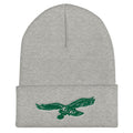 Philly Cuffed Beanie - altruesm