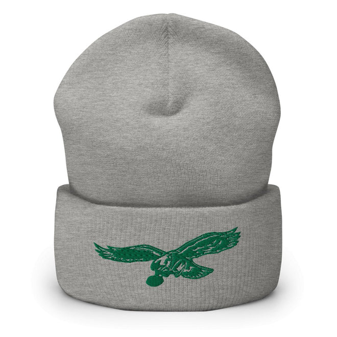 Philly Cuffed Beanie - altruesm